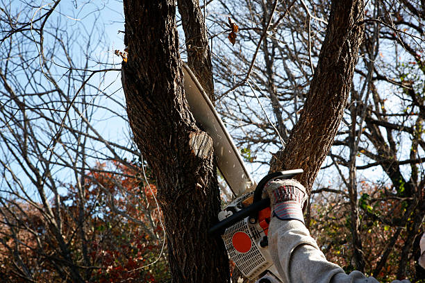 Best Soil Testing and Treatment  in Franklin Park, NJ